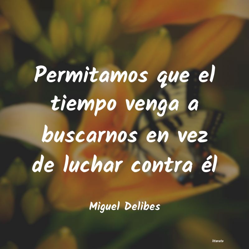 Frases de Miguel Delibes