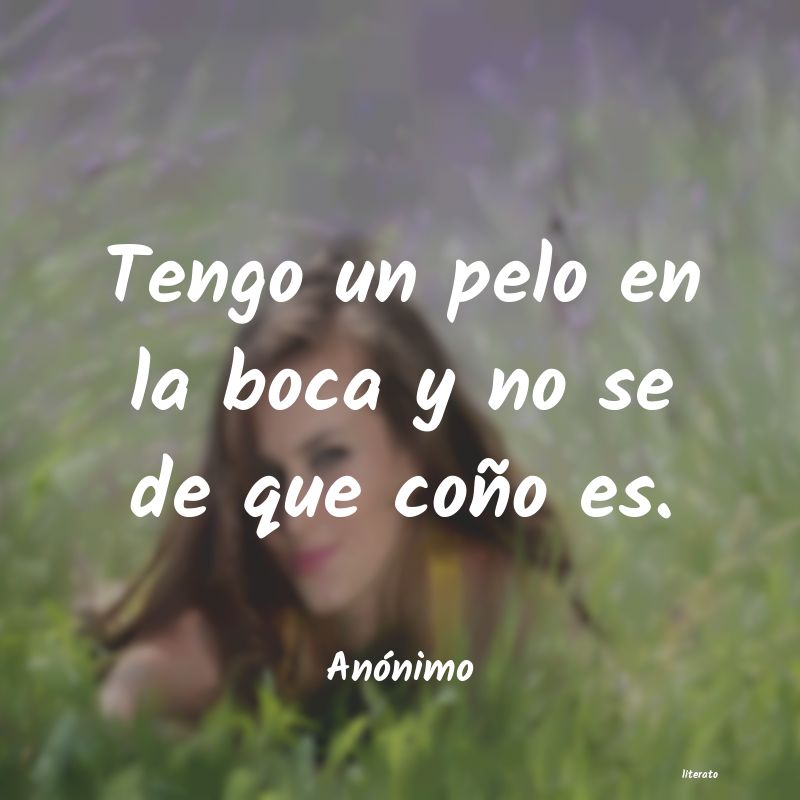 frases