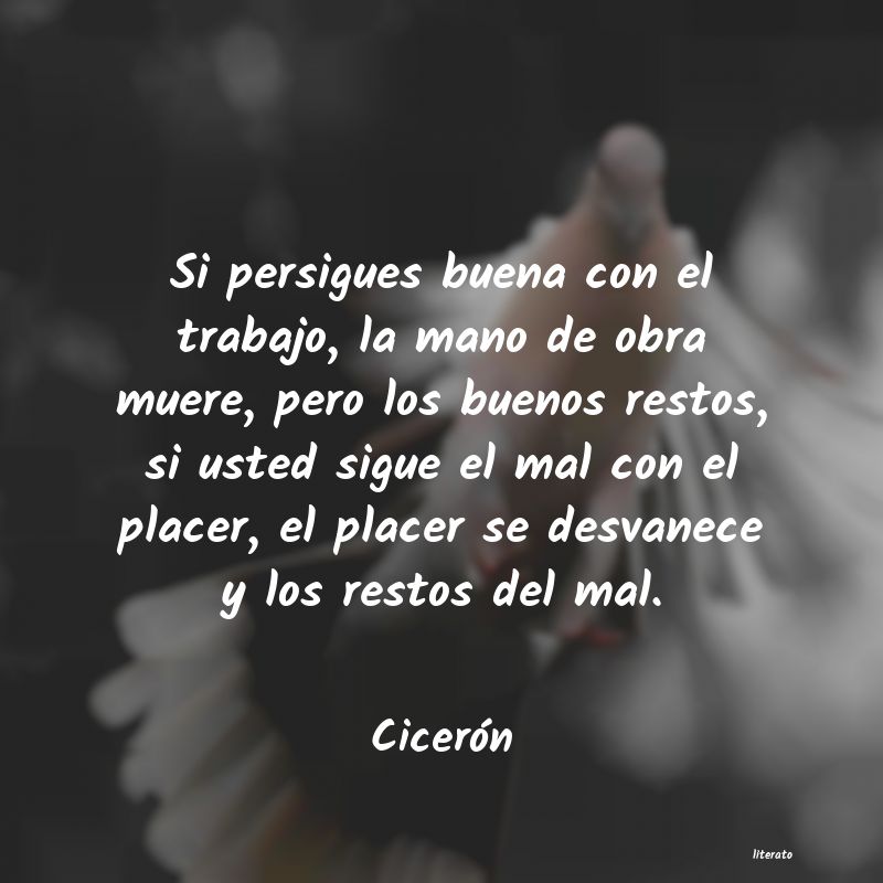 Frases de Cicerón