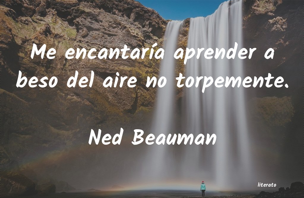 Frases de Ned Beauman
