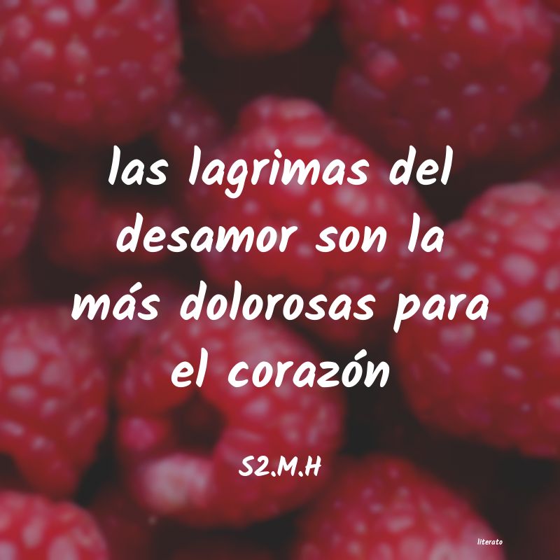 Frases de S2.M.H