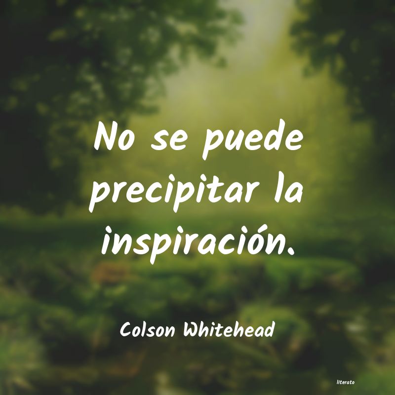frases de Colson Whitehead
