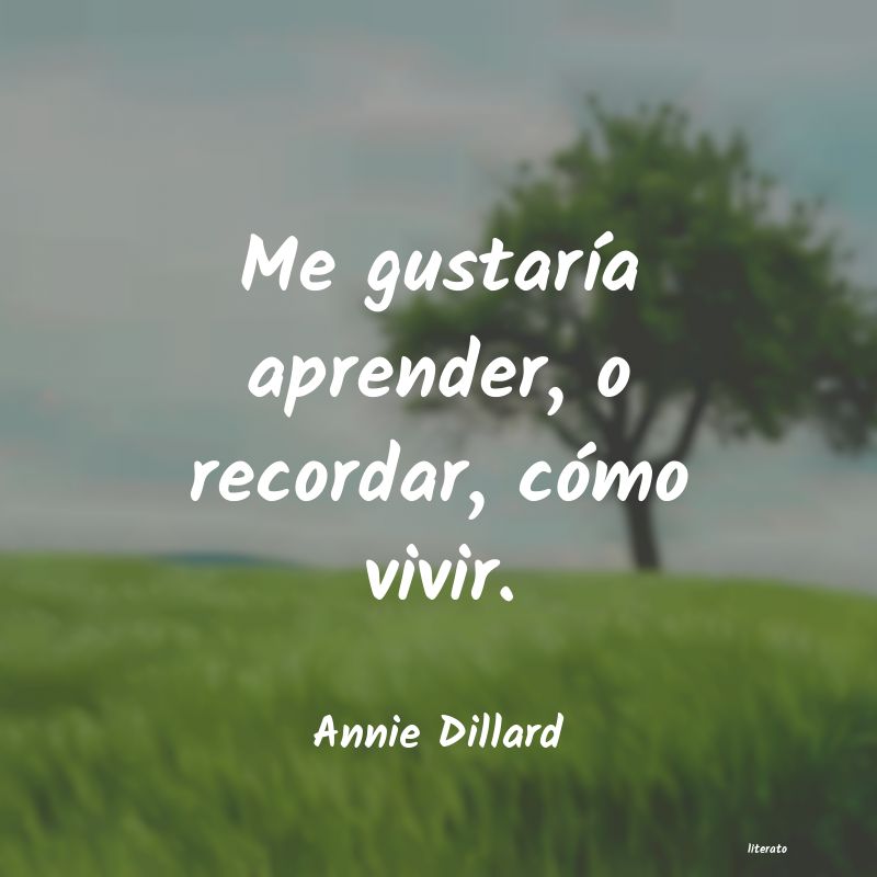 frases de Annie Dillard
