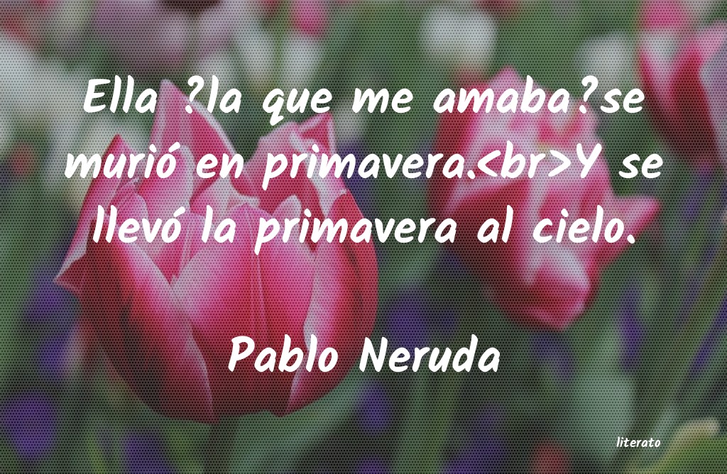 Frases de Pablo Neruda