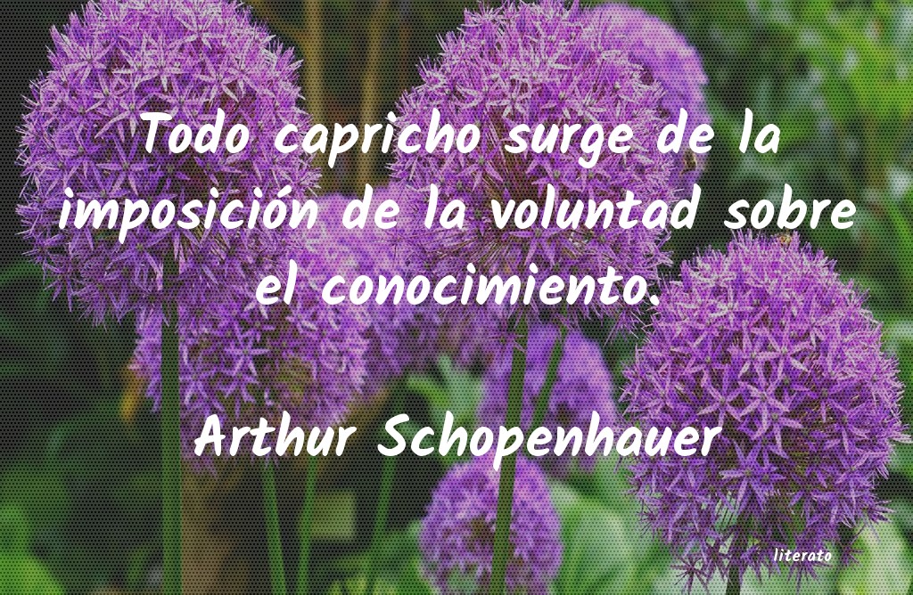 Frases de Arthur Schopenhauer