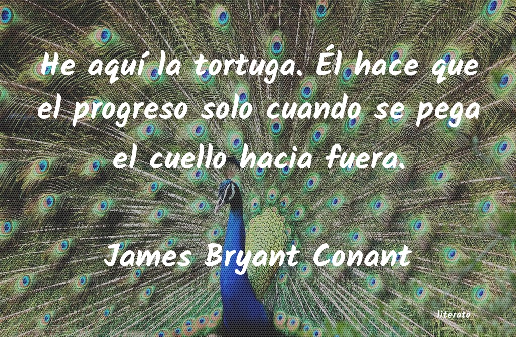 Frases de James Bryant Conant