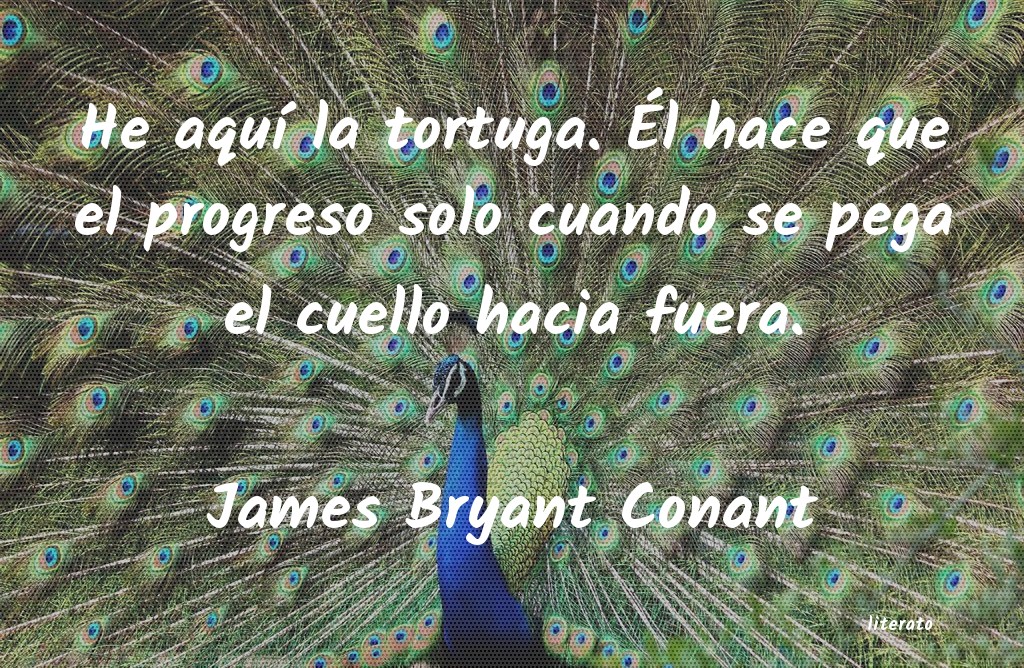 frases de James Bryant Conant