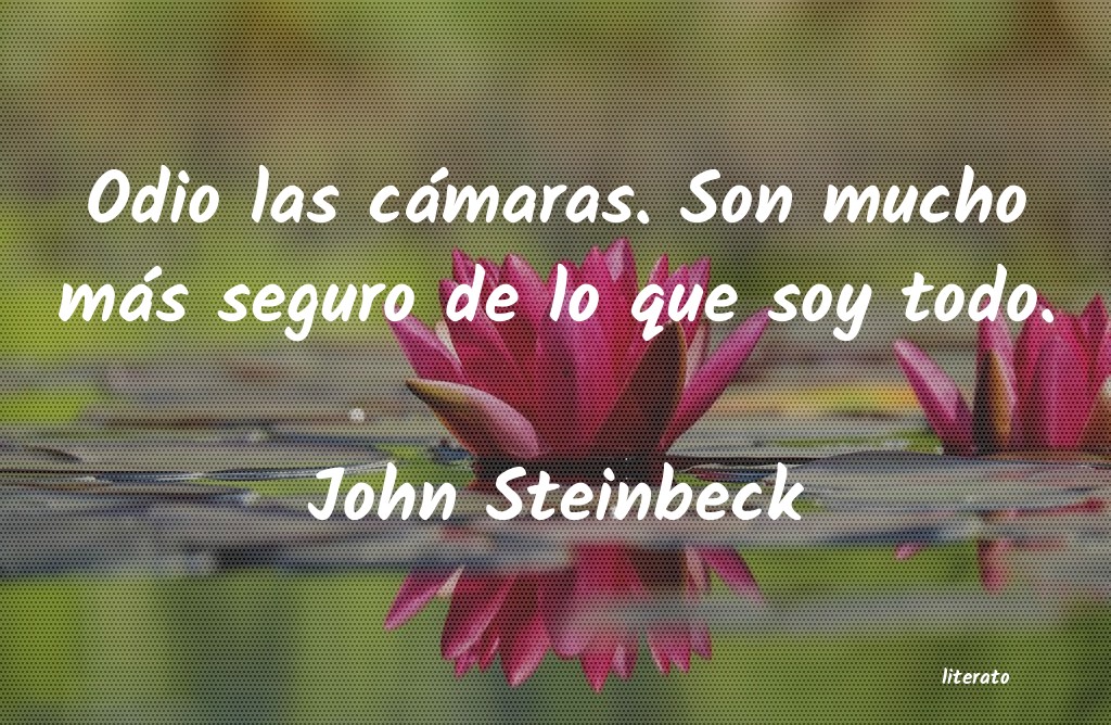 frases de John Steinbeck
