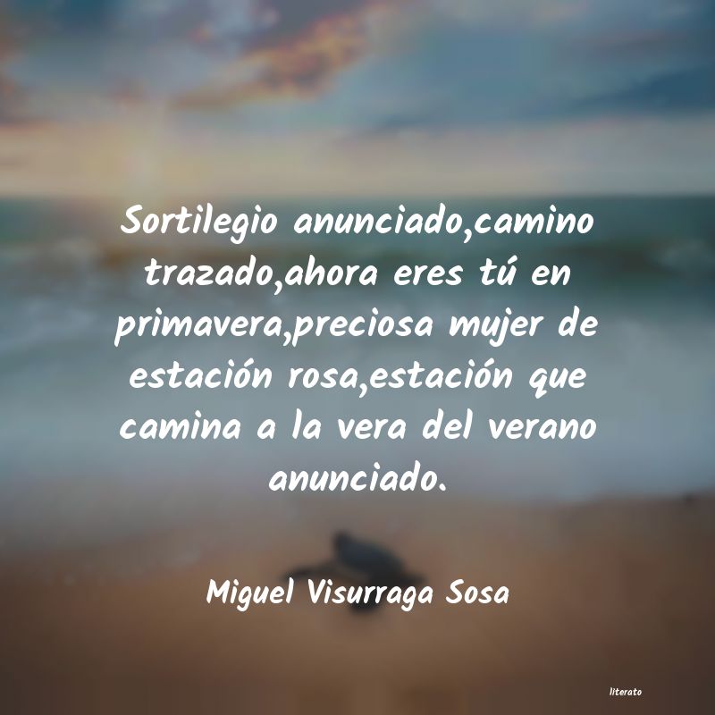 Frases de Miguel Visurraga Sosa