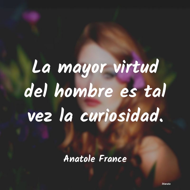 Frases de Anatole France