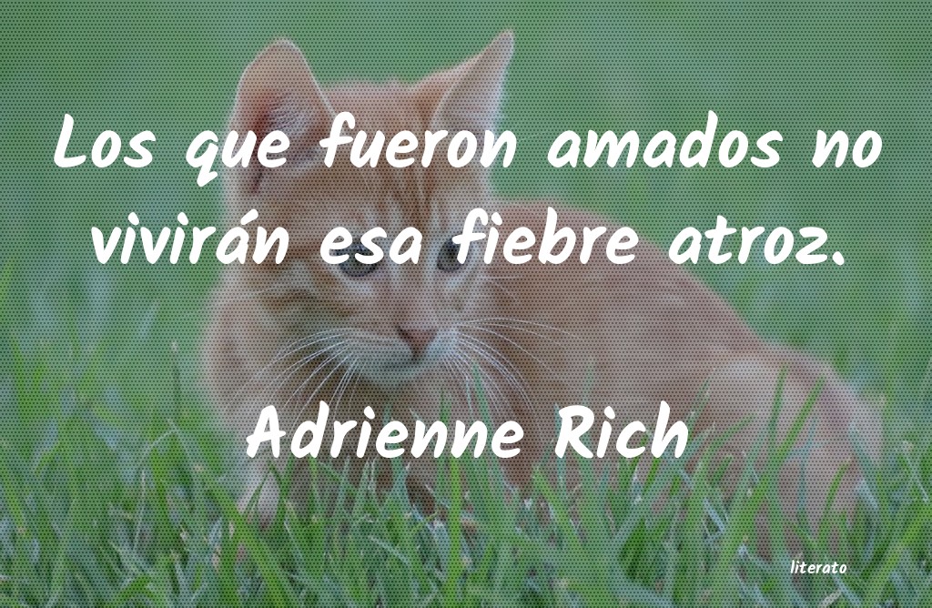 Frases de Adrienne Rich