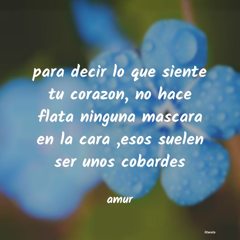 Frases de amur