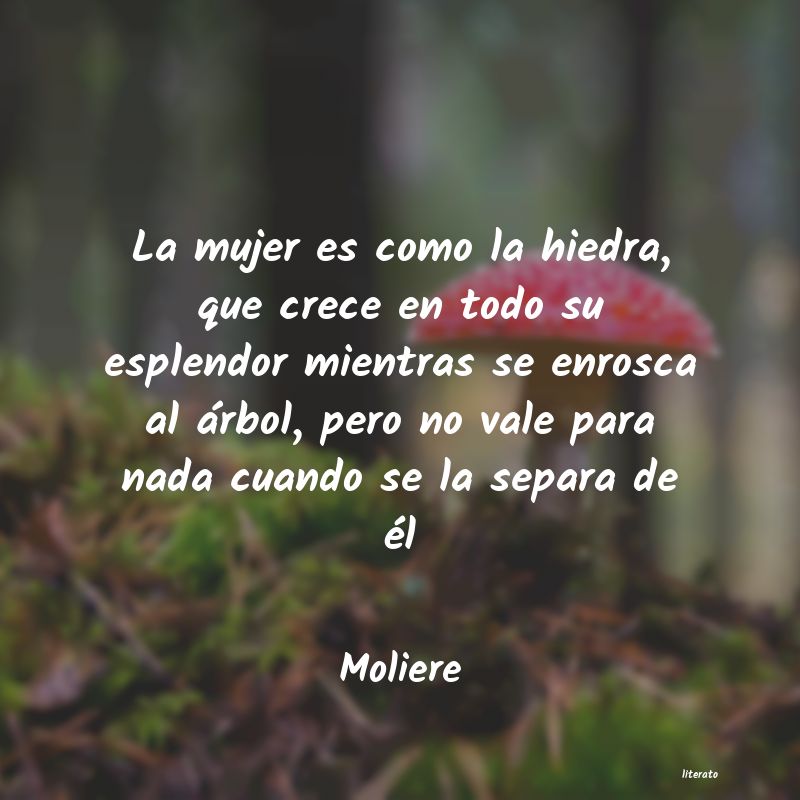 Frases de Moliere