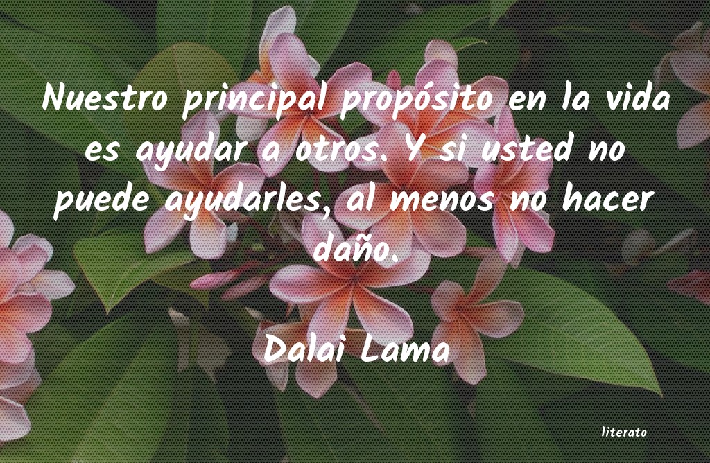 ayudar al enemigo dalai lama