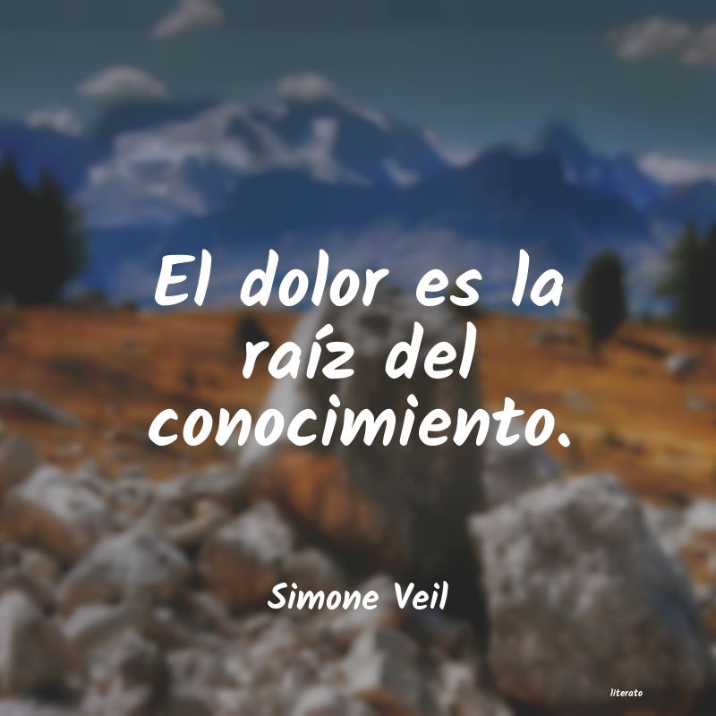 Frases de Simone Veil