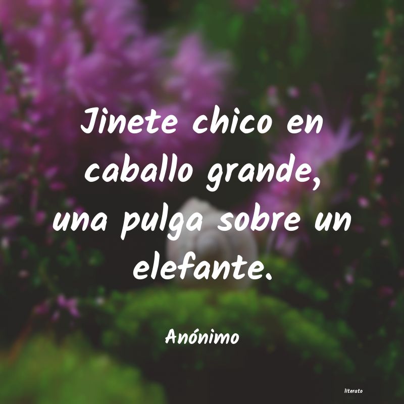 frases