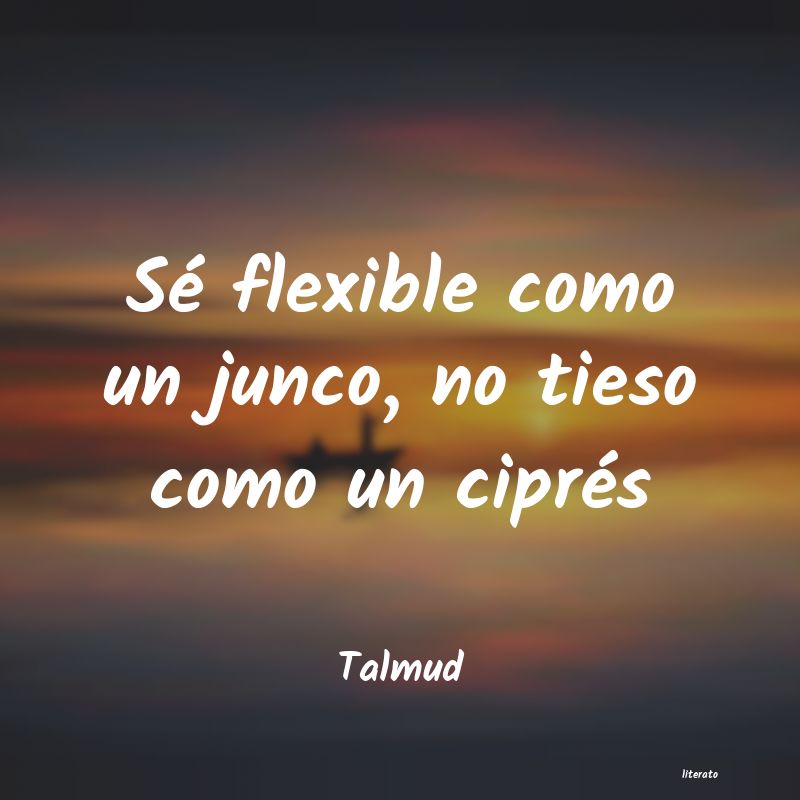 Frases de Talmud