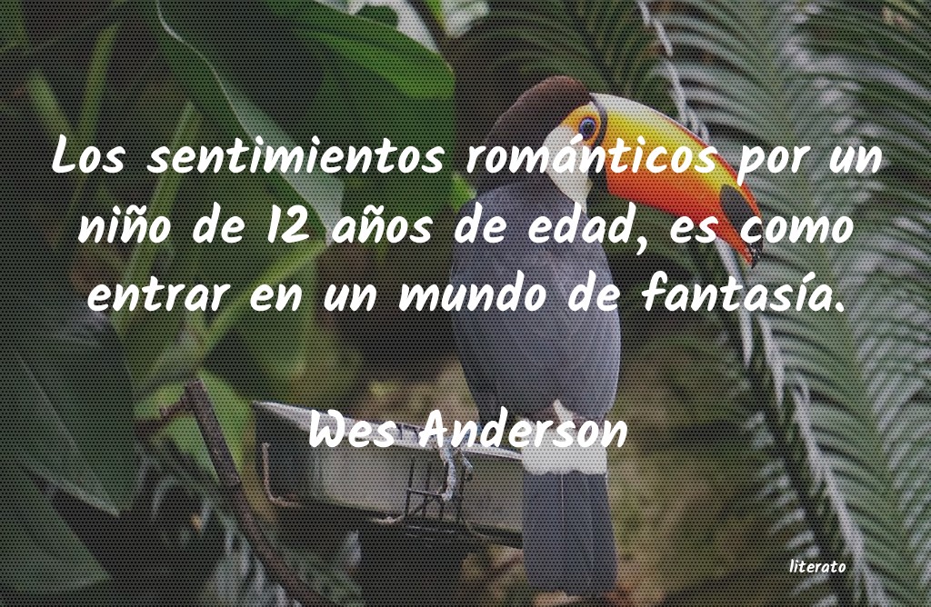 Frases de Wes Anderson