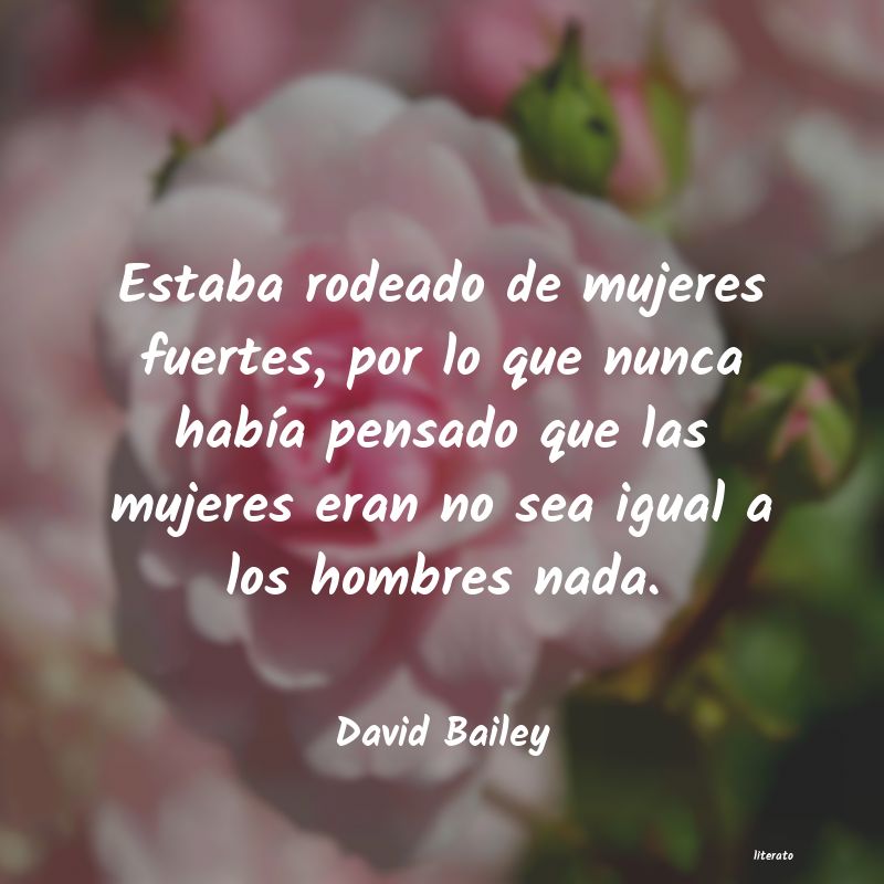 Frases de David Bailey