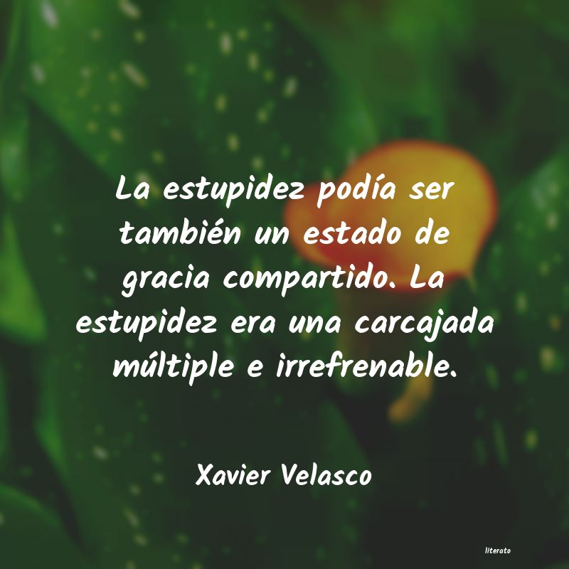 Frases de Xavier Velasco