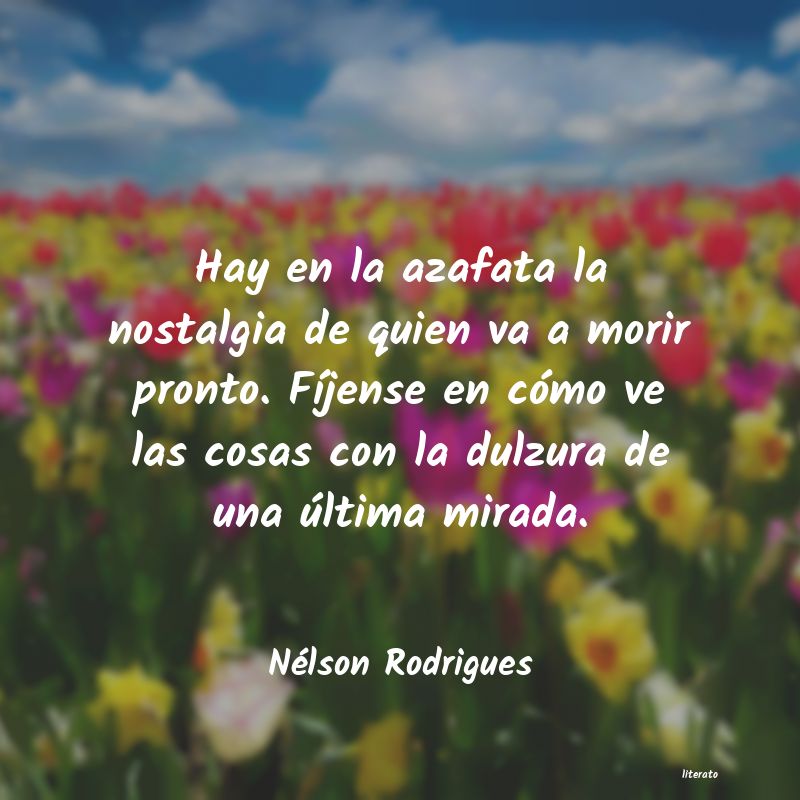 frases de Nélson Rodrigues