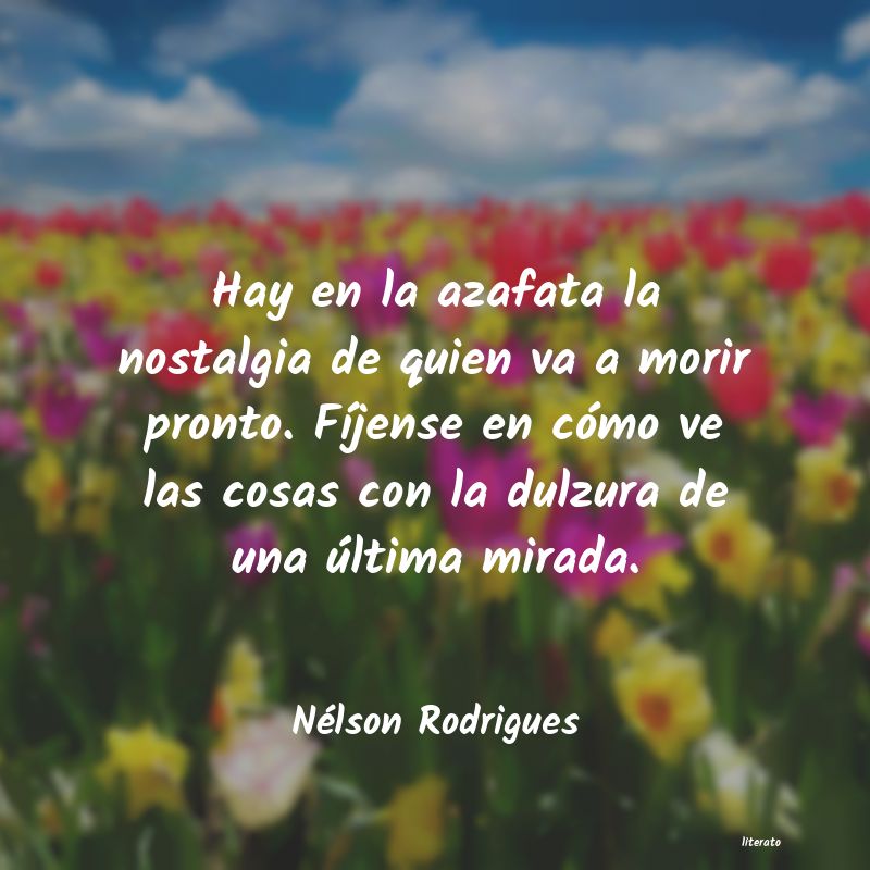 Frases de Nélson Rodrigues