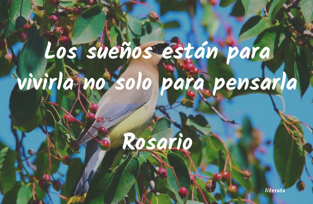 frases de Rosario