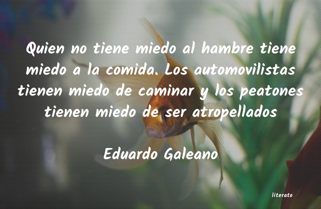 Frases de Eduardo Galeano