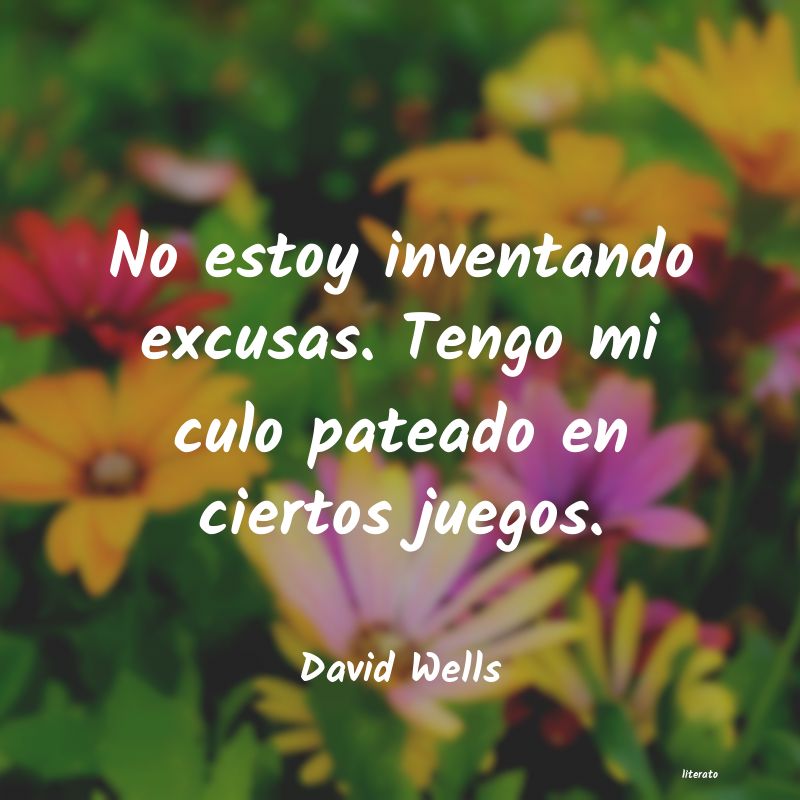 Frases de David Wells