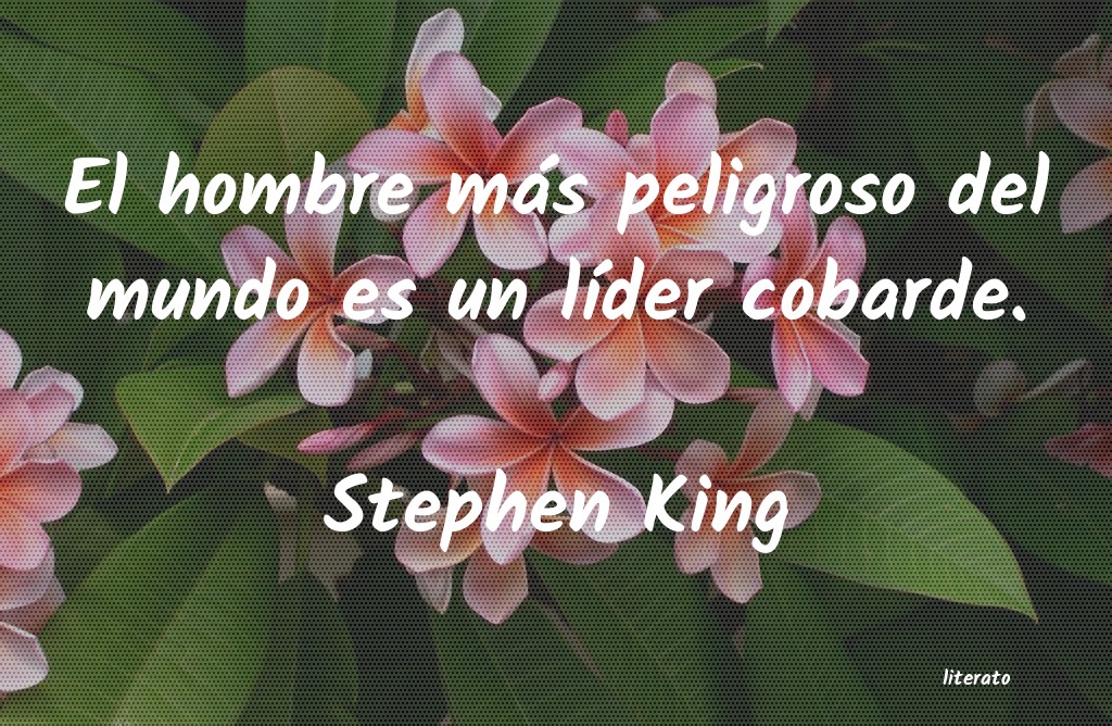 frases de Stephen King