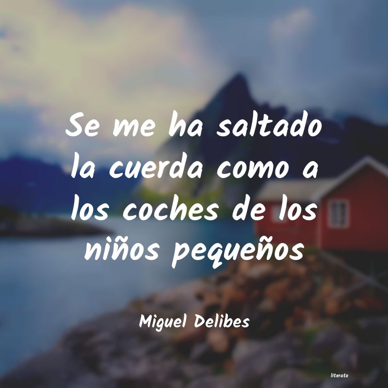 frases de Miguel Delibes