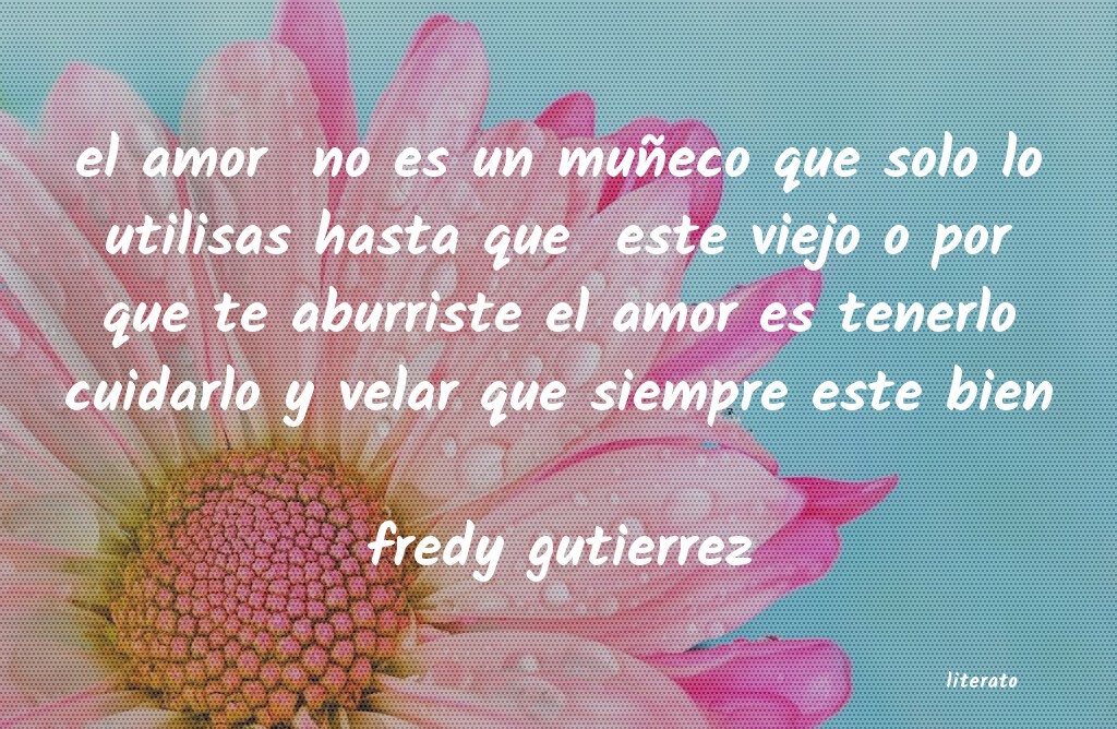 Frases de fredy gutierrez