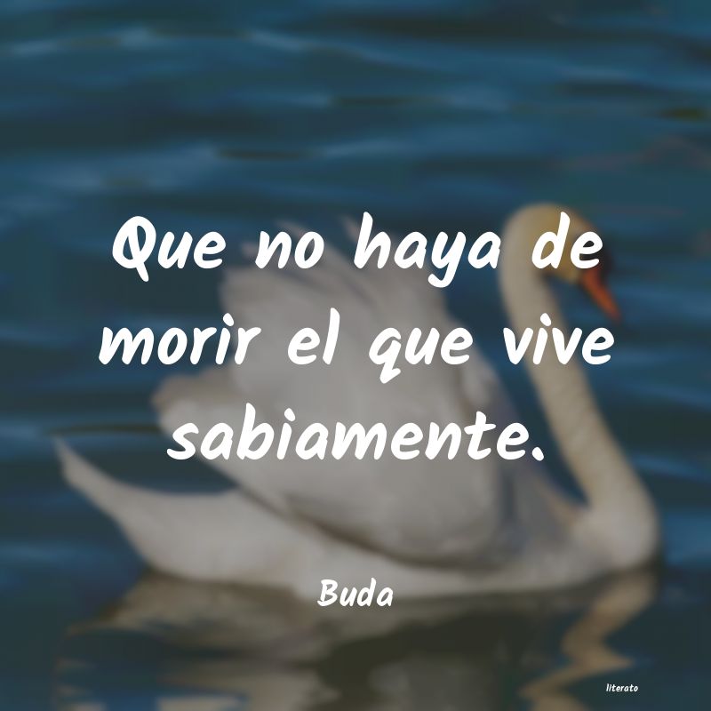 Frases de Buda