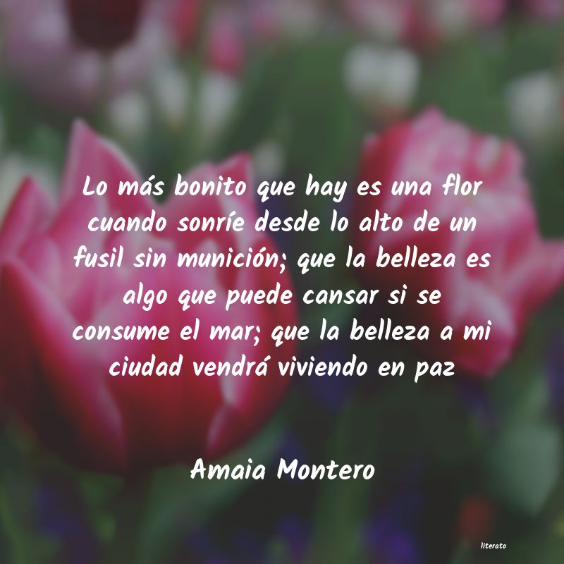 Frases de Amaia Montero