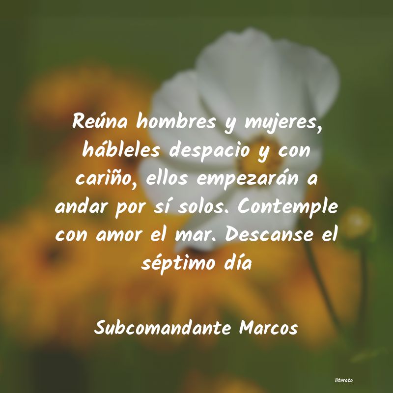 frases de Subcomandante Marcos