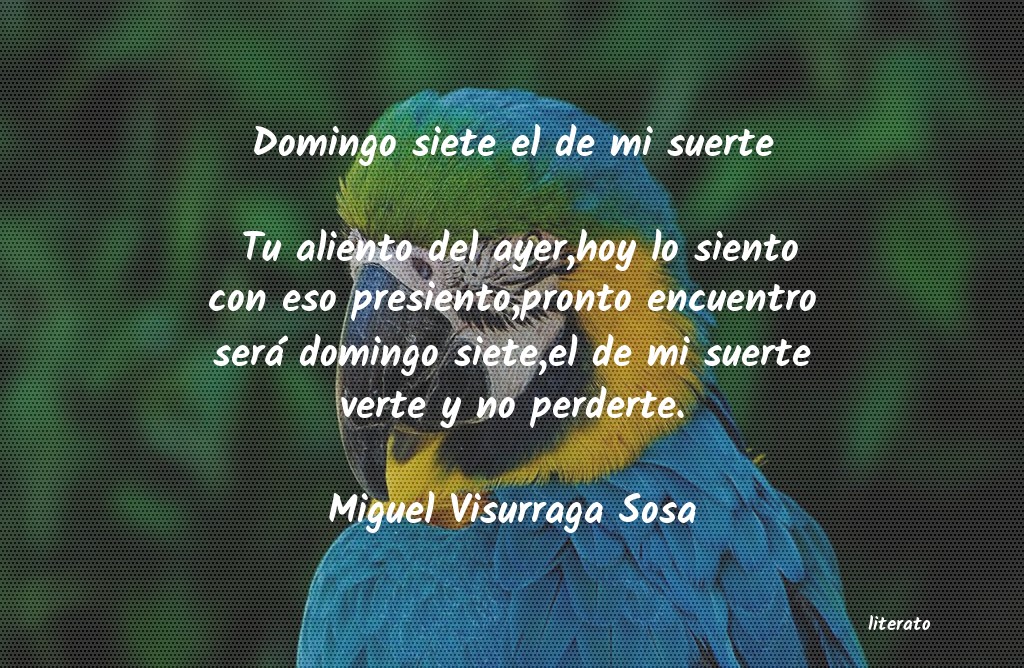 Frases de Miguel Visurraga Sosa