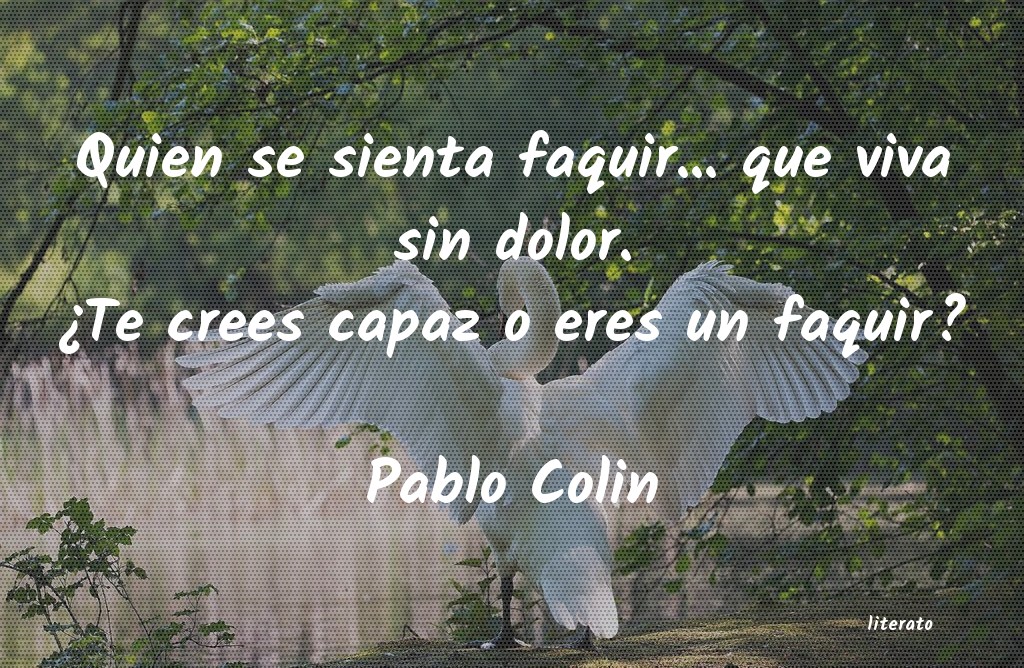 Frases de Pablo Colin