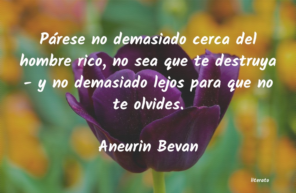 frases de Aneurin Bevan