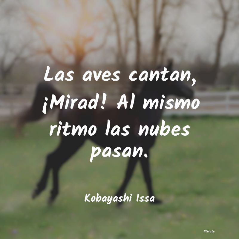 frases de Kobayashi Issa
