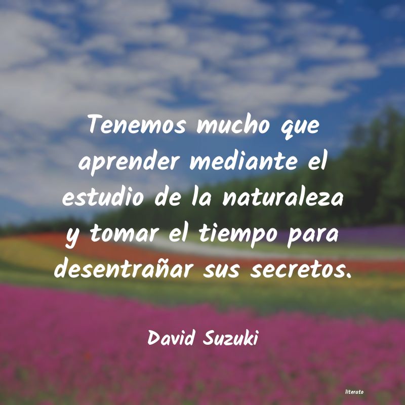 Frases de David Suzuki