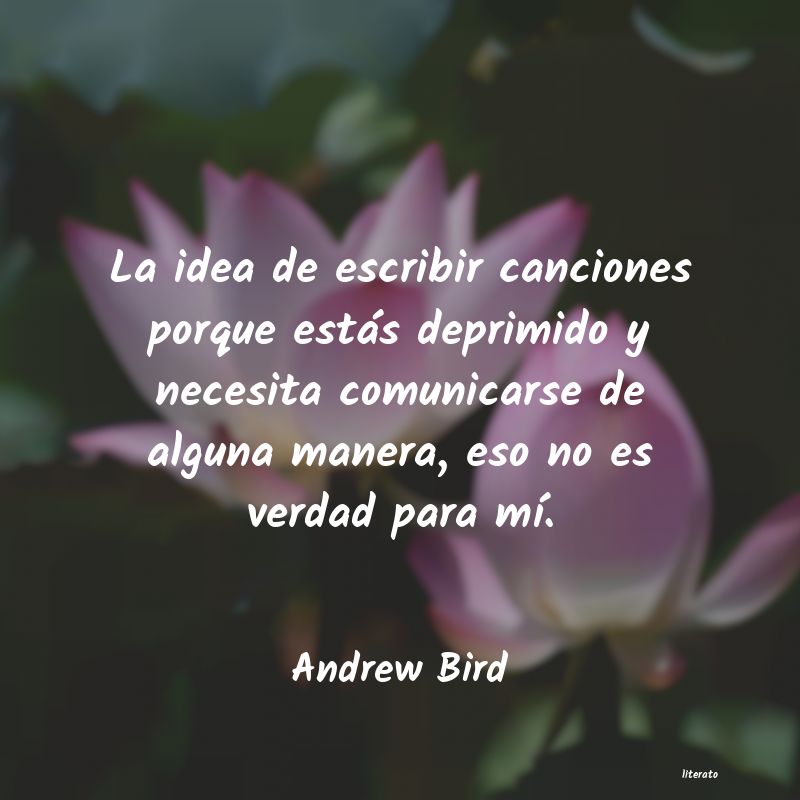 Frases de Andrew Bird