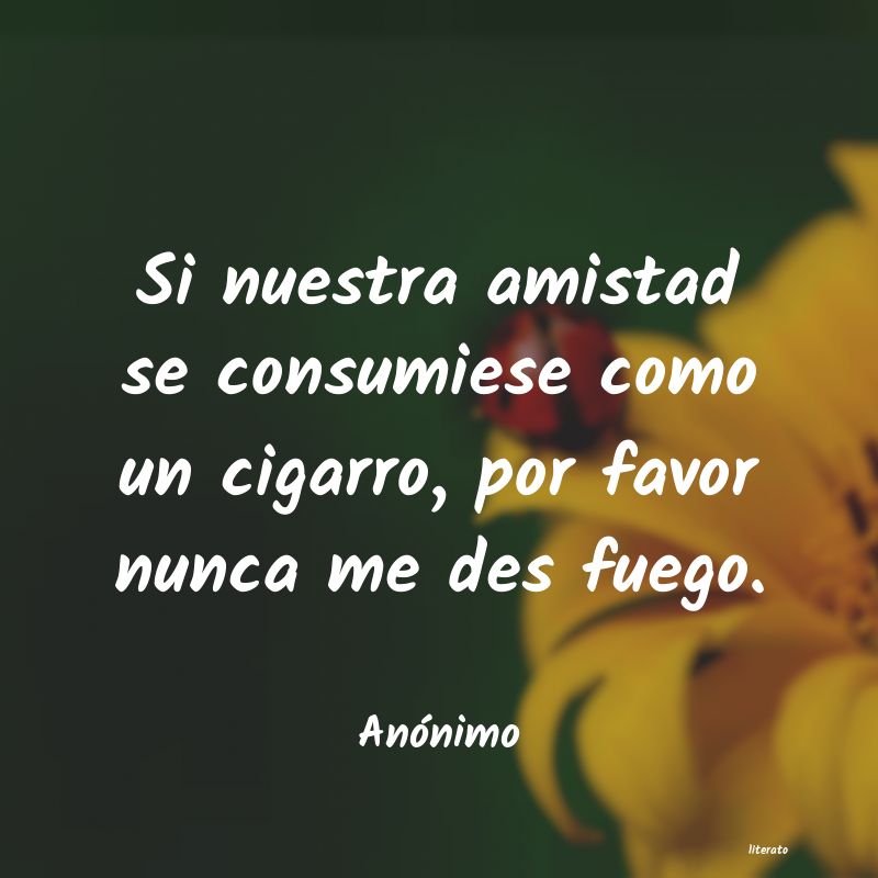 frases