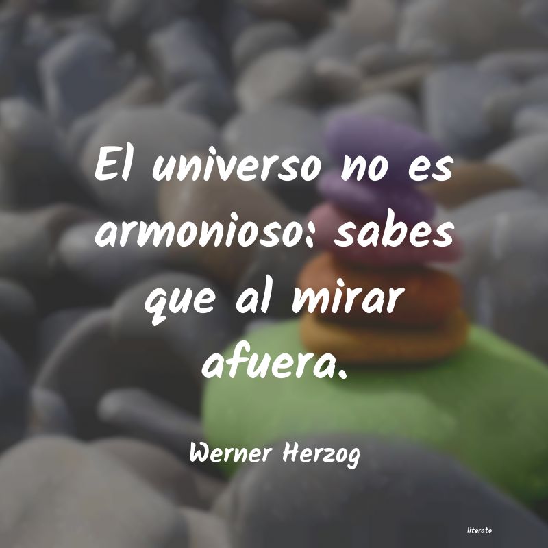 Frases de Werner Herzog