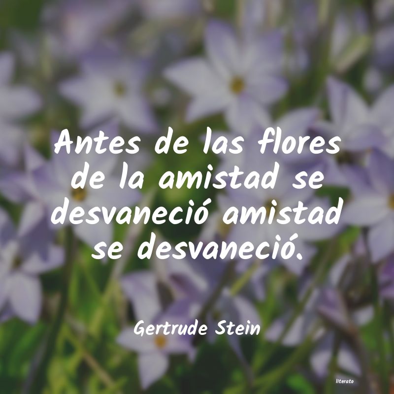 Frases de Gertrude Stein