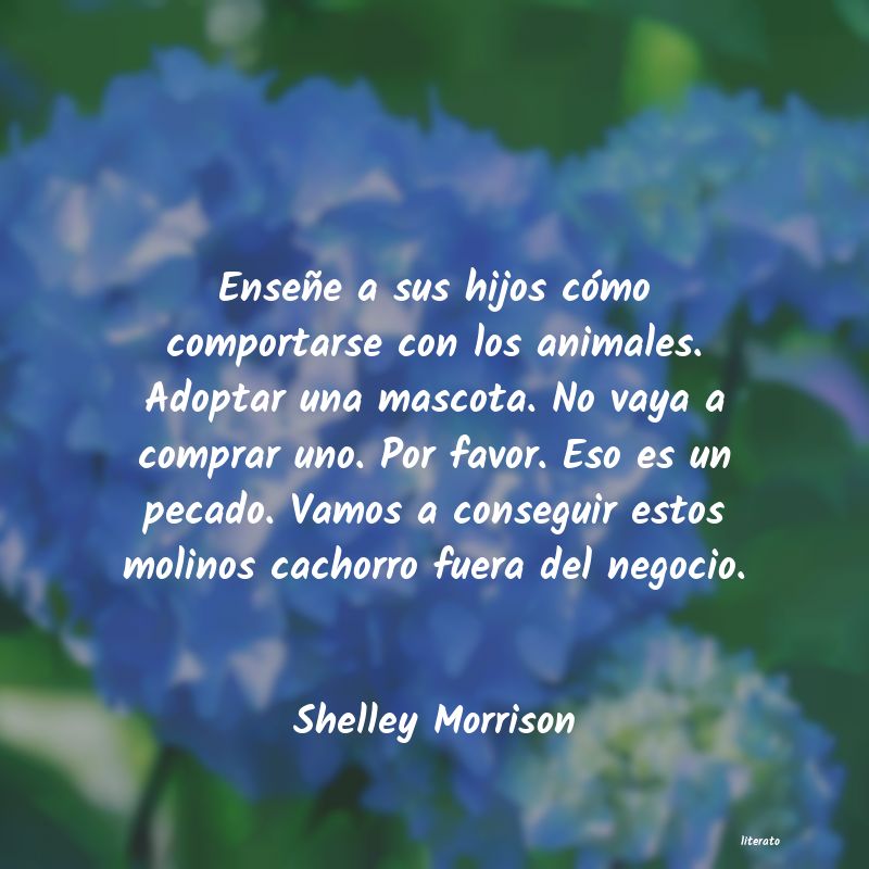 Frases de Shelley Morrison