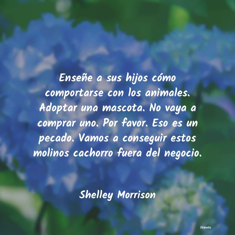 frases de Shelley Morrison