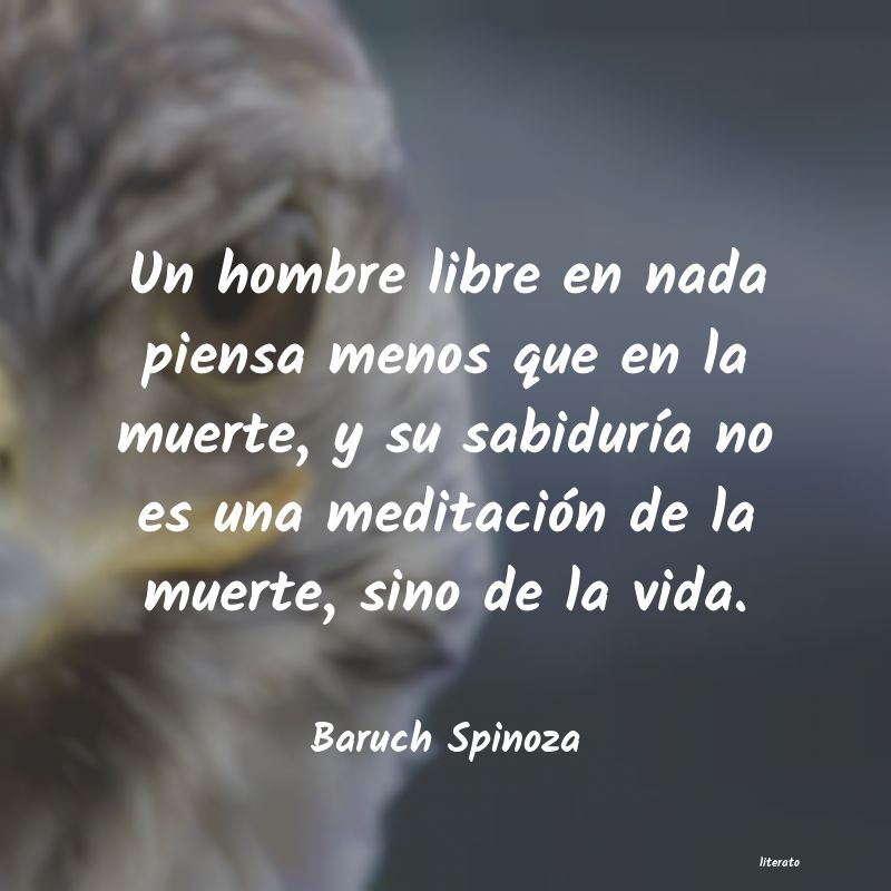 Frases de Baruch Spinoza