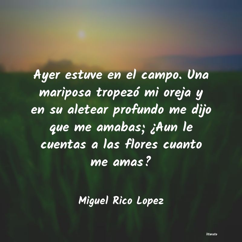 Frases de Miguel Rico Lopez