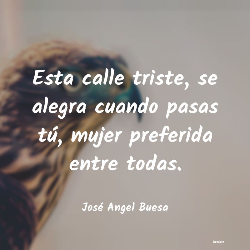 Frases de José Angel Buesa