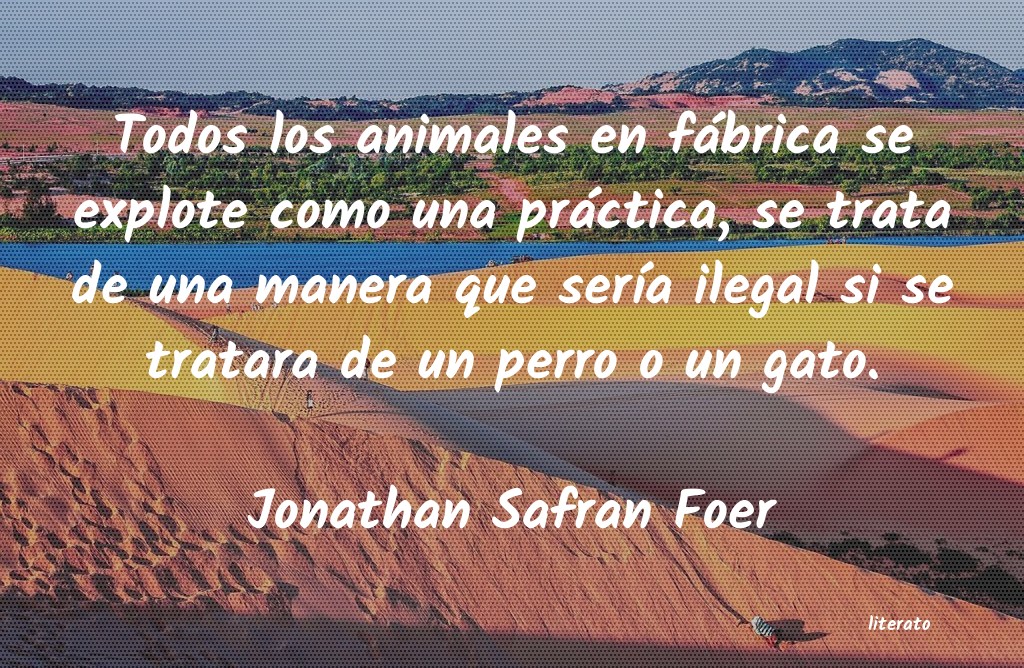 frases de Jonathan Safran Foer
